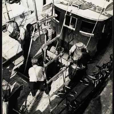 Mackeral fishing - Maine 1944