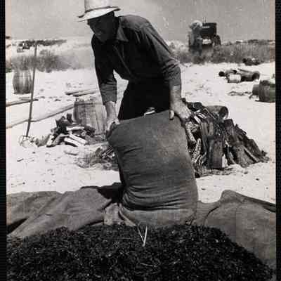 Nantucket clam bake