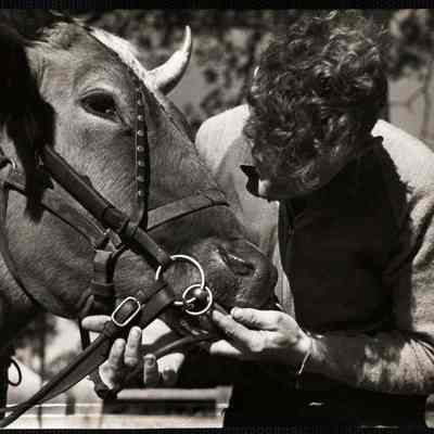 Putting the bit in "Star"'s mouth