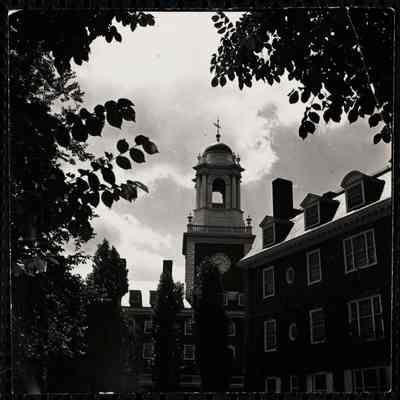 Harvard 1
