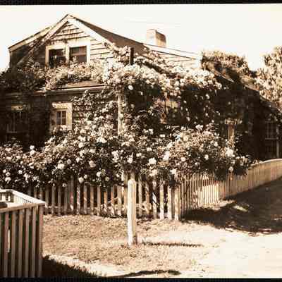 Rose covered cottage Siasconset, Nantucket Island
