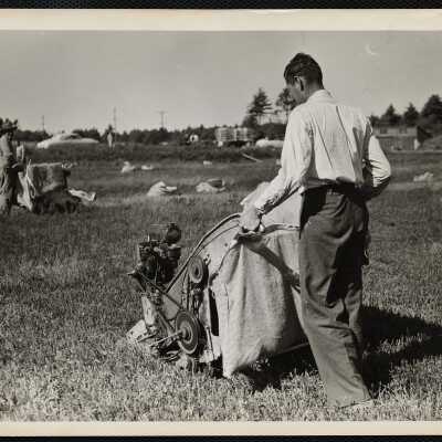 New cranberry picker - Cape Cod early 1950s