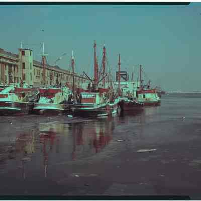 Boston fish pier