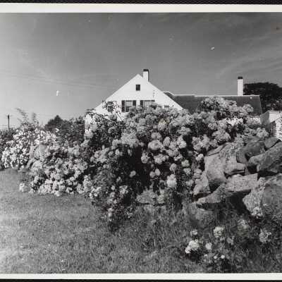 Cape Cod 1