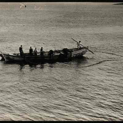 Mackerel fishing, Maine