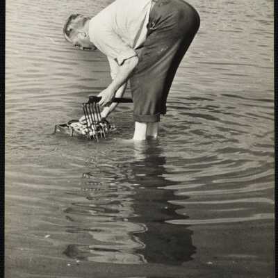 Claming at Biddeford Pool, Me.