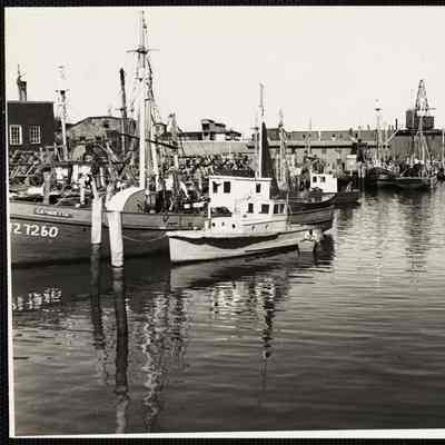 Gloucester