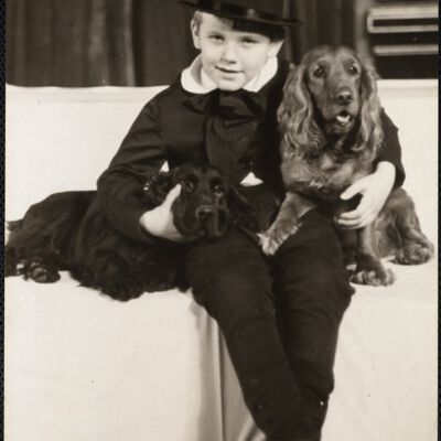 Dog shows
