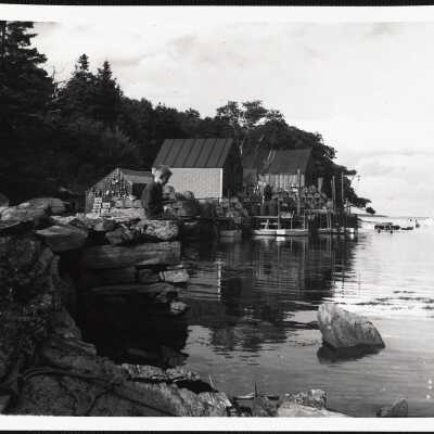 Back Cove - Maine
