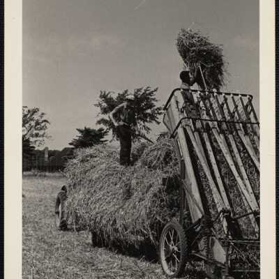 Deerfoot Farms, Southborough, Massachusetts