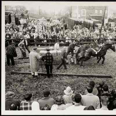 Sandwich, N.H. Fair