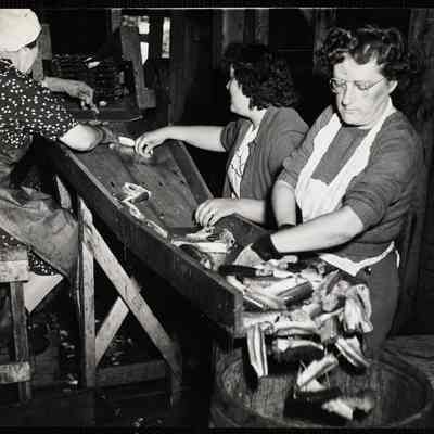 Maine mackerel packing plant