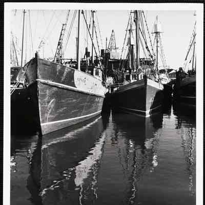 Gloucester