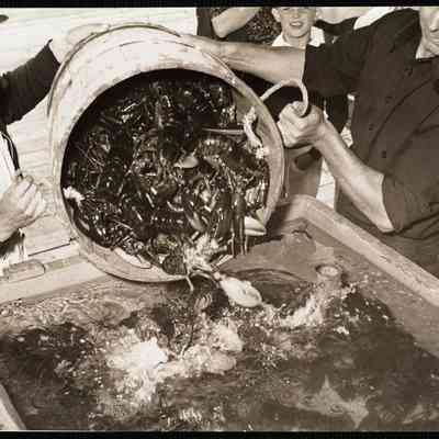 Maine lobstering
