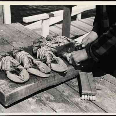 Maine - lobsters 1