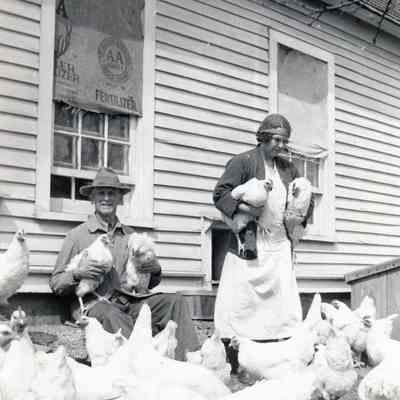 Chicken Farmers