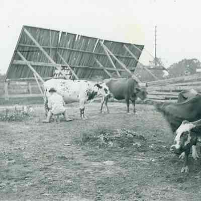Blount Farm - Michigan Avenue