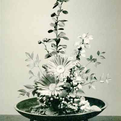 Flower Displays
