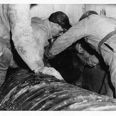 D.P.W working on sewers underneath the Wayne Road bridge.