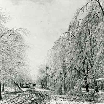 Snowstorm