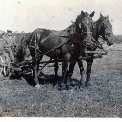 Horse drawn Plough