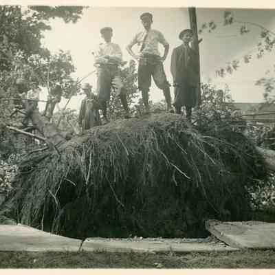 In Front of E Langworthy's Formerly the Fitzgibbons House After the Storm on June 4, 1911