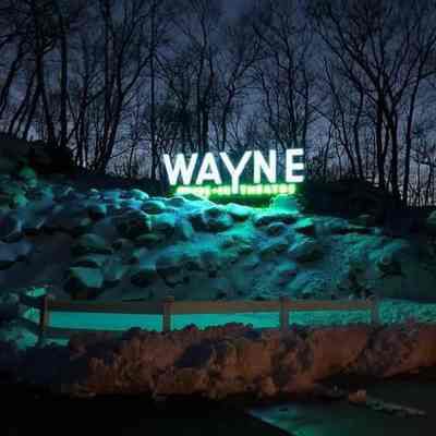 Wayne Drive-in Sign