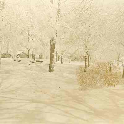 Snowstorm in park 1912