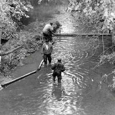 Rouge River
