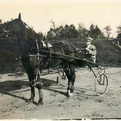 Horse Racing at the Wayne Track