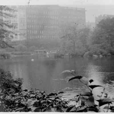 Central Park in New York City in June of 1915.