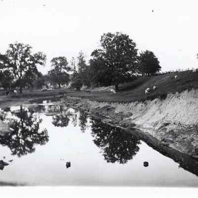 Rouge River at Sims