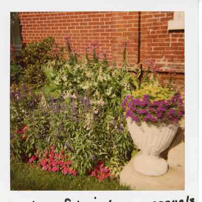 2001 Heirloom Annuals