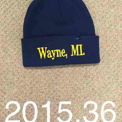 Wayne Beanie