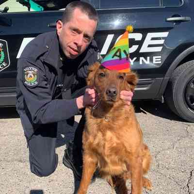 Chief Strong and Zeke's 4th birthday