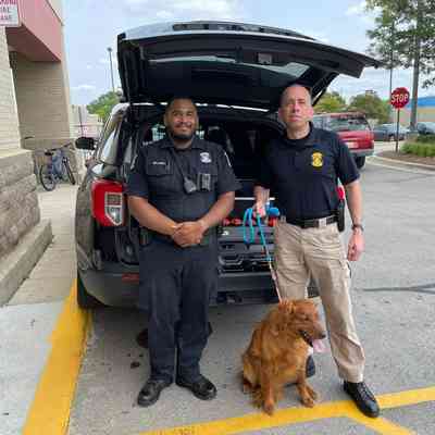 UK, Chief Strong and Zeke