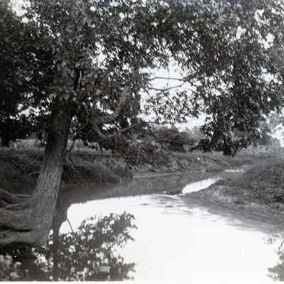 Rouge River