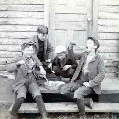 Warner Sugar Bush