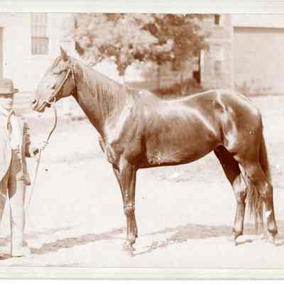 Anthony Snyder and Horse in front of Universalist Church