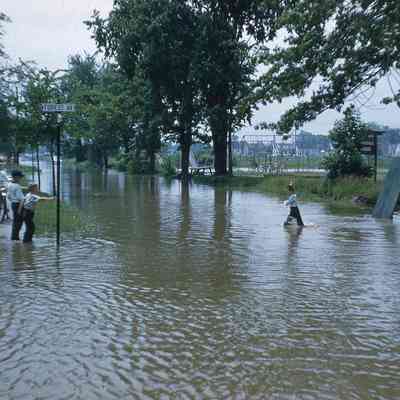 Forest St