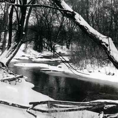 Rouge River in Winter