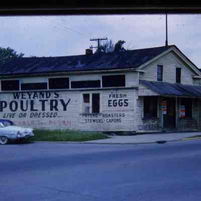 Slide. 1960