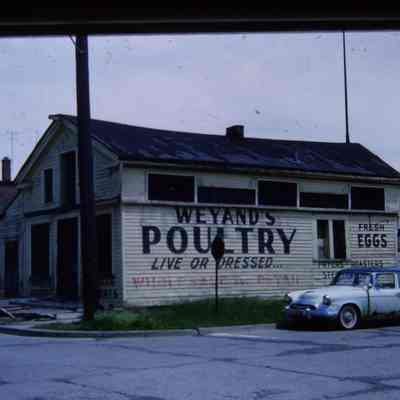 Slide. 1960