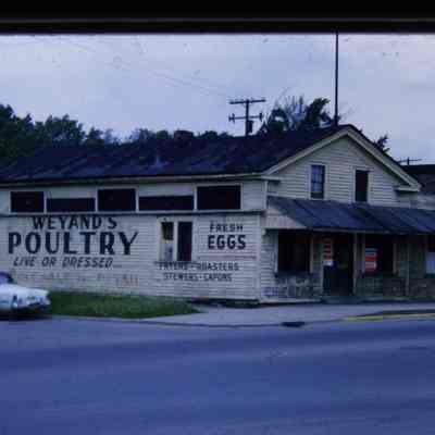 Slide. 1960