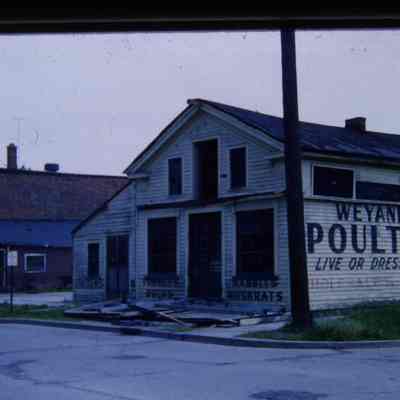Slide. 1960