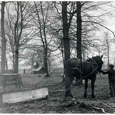 Ralph Carpenter at Sugar House. Glenwood between Hix and Hannan. March 1911