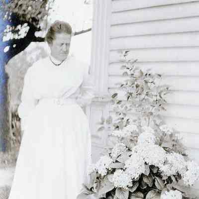 Almyra Waltz Stellwagen, wife of Philip Peter Stellwagen. Sister of Louis Waltz for whom Waltz, MI was named after.