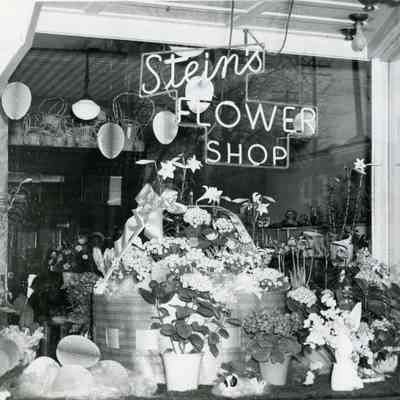 35202 Michigan Ave - Stein's Flower Shop