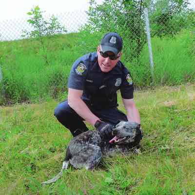 Wayne Police Officer with a Lost Dog