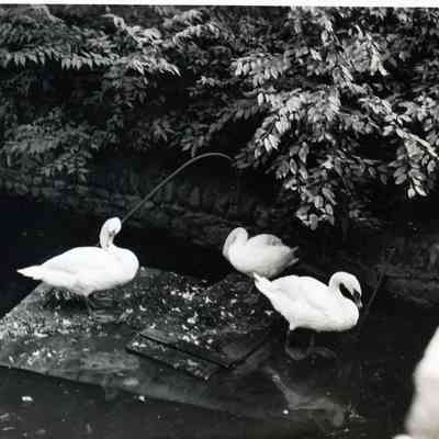 Glacier National Park in Montana.